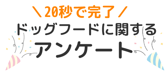 アンケート