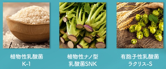 「有胞子性乳酸菌」「植物性ナノ型乳酸菌SNK」「植物性乳酸菌K-1」